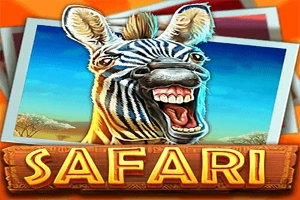 01816 safari