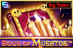 22290 book of muertos